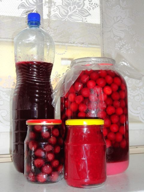 viov dobroty