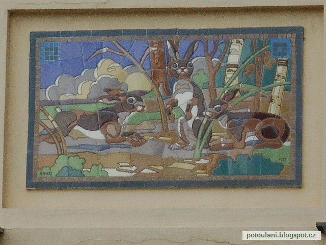 zajci